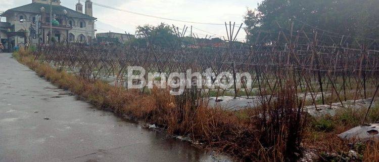 TANAH KOMERSIL DI LINGKAR LALADON DEKAT KAMPUS IPB 1