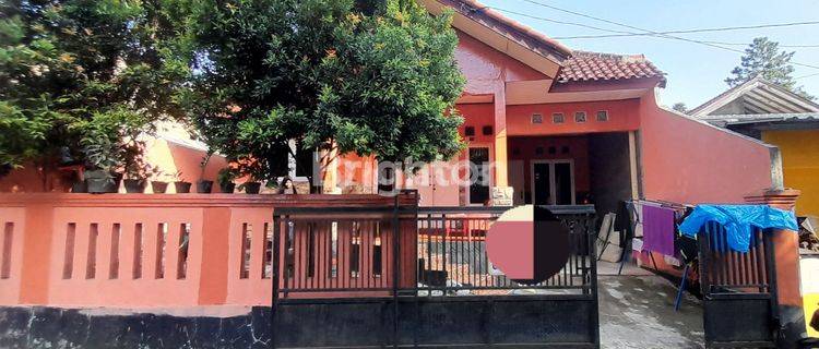 RUMAH CANTIK NYAMAN PINGGIR JALAN DI BUBULAK BOGOR 1