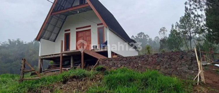 Dijual Murah Sekali Villa Dengan Kebun Luas Siap Panen Asri Ciwidey 1