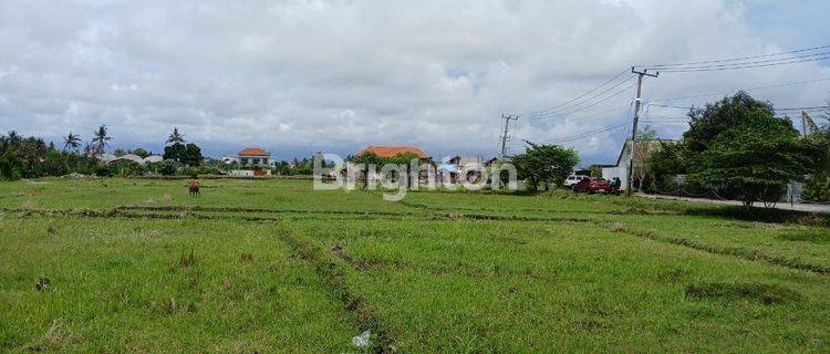 FREEHOLD LAND FOR SALE OR LEASE AT PANTAI LIMA 1