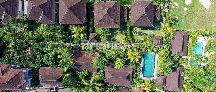 HOTEL RESORT IN UBUD 1