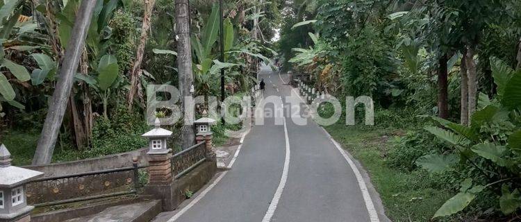 TANAH DEKAT FURAMA UBUD 1