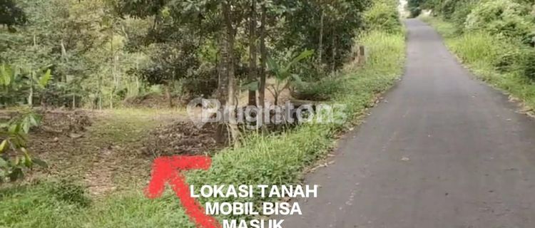 LAHAN PERKEBUNAN "AGRO", DI WILAYAH JAMBU-AMBARAWA 1