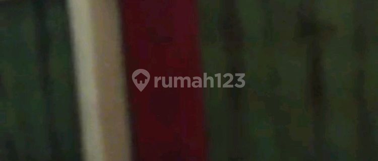 Ruko 3 Lt Yang Letaknya Sangat Strategis Ditengah Kota Semarang 1