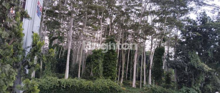 TANAH LETAK STRATEGIS, SANGAT SUBUR UNTUK KEBUN BUAH2AN JUGA COCOK UNTUK RUMAH MAKAN, PENGINAPAN, SEKOLAH 1