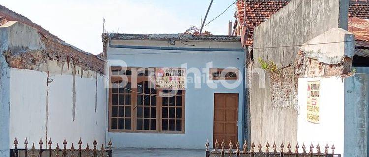 RUMAH MUNGIL BEBAS BANJIR DITENGAH KOTA SEMARANG 1