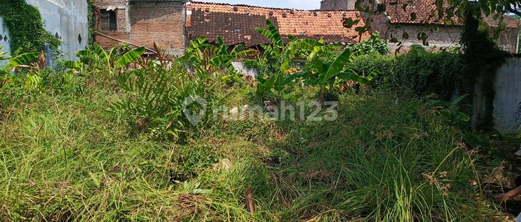 Wide Land in Sack Shape for Sale with House Bonus, In a Crowded, Densely Populated Area 1