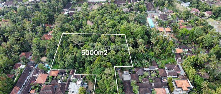 Di Jual Tanah Ubud 1