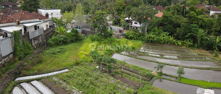 Dijual Tanah Lokasi Tabanan 1