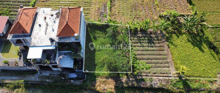 Di Jual Tanah Langka Tengah Persawahan Ubud 1