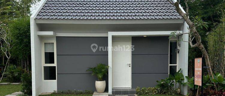 Rumah 1 Lantai Cantik Modern Murah Poll 1