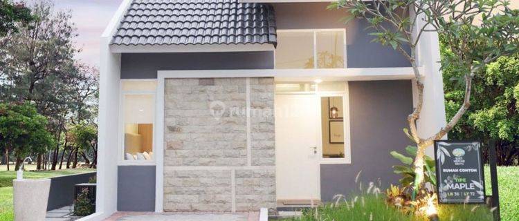 Rumah 1 Lantai Modern 1