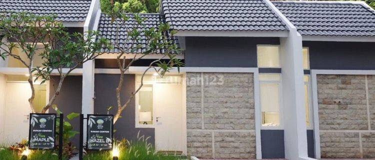 Rumah 1 Lantai Modern Murah  1