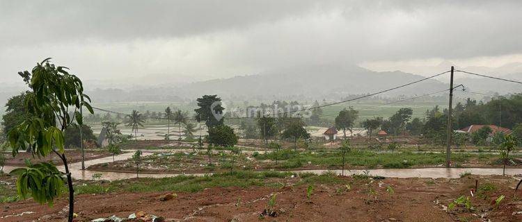 Tanah Strategis Pinggir Jalan Cariu Bogor Timur Tanah 1