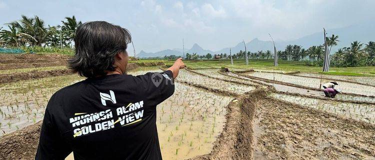 Jual Tanah Sawah Include BBN SHM - Bogor Timur Tanah 1