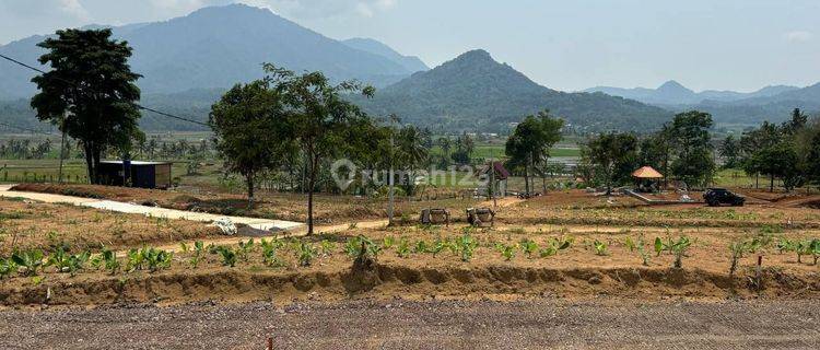 Jual Tanah Depan Pinggir Jalan Raya - Cariu Bogor Timur Tanah 1