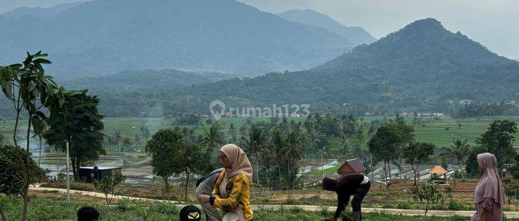 Jual Tanah Murah Di Cariu Bogor Timur Tanah 1