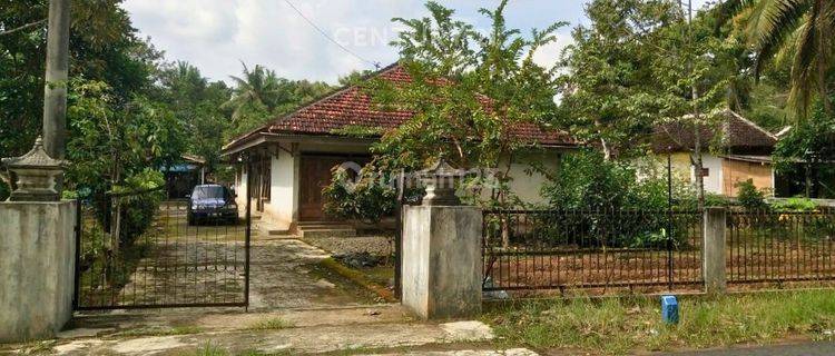 Rumah Halaman Luas Di Kalibawang Cocok Untuk Keluarga Besar 1