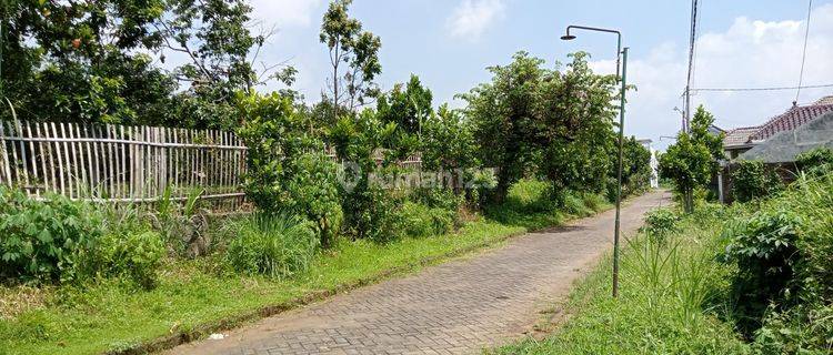 Tanah Kavling SHM Dekat Umm Malang Cocok Untuk Kost 1