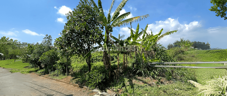 Tanah Kavling Merjosari Kota Malang Sudah SHM  1