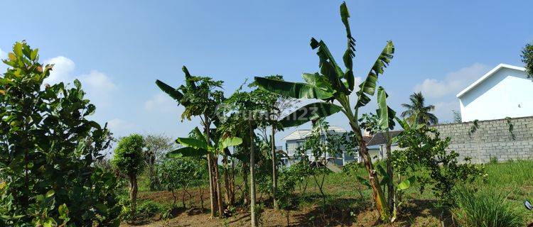 Merjosari, Malang 80 m2 Tanah SHM View Bagus Strategis 1