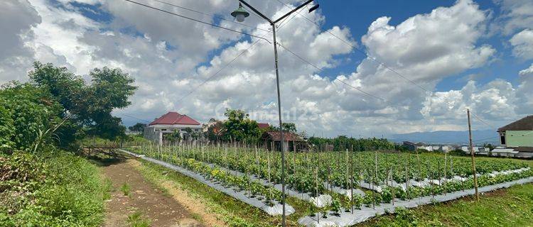 Tanah SHM Bebas Banjir Cocok Untuk Kost 5 Menit Umm 1