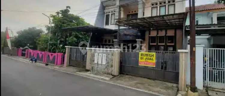 Kelud Elephant Mungkur House Semarang 1