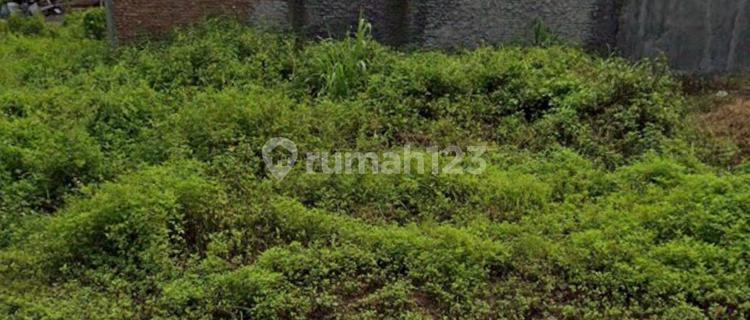Dijual Kavling Murah di Jl Penataran Timur Kalipancur Manyaran Semarang 1