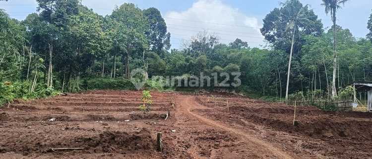 Affordable Plots of Land in Jatirejo, Kandri, Cepoko, Gunungpati, Semarang City. 1