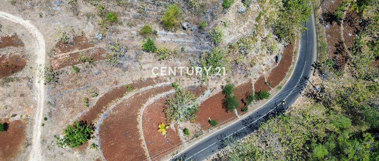 Tanah Potensial Jalan Baron Gunung Kidul Di Tepi Jalan Provinsi 1