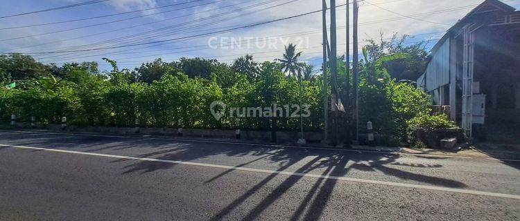 Tanah 804m2 Strategis Di Jl Baron Jalur Utama Wisata Gunung Kidul 1