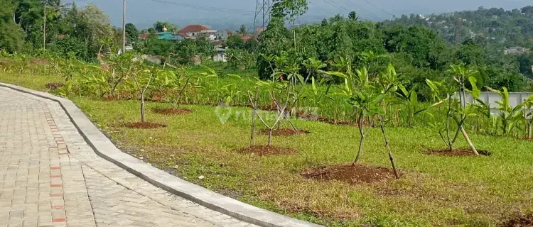 Rumah Minimalis Modern Dekat Exit Toll Bocimi 1