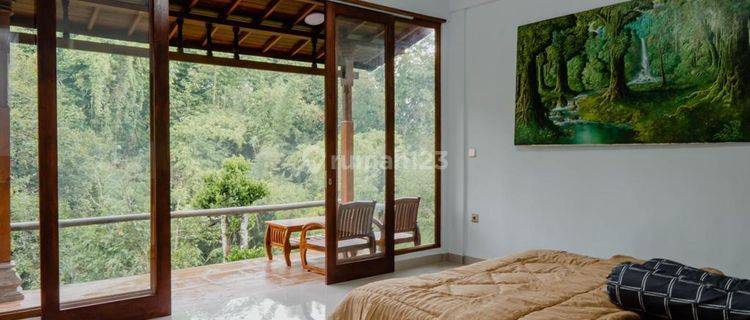 Dijual Villa Full Furnish View Jungle Di Bedugul Pk 1