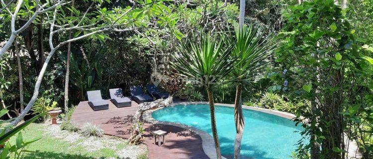 Dijual Villa View Jungle Dan Sungai Di Ubud Oc 1