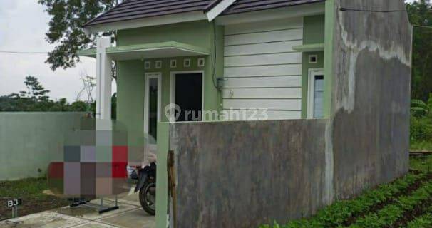 DI SEWA RUMAH GONDANG VILLAGE RANDUAGUNG SINGOSARI 1