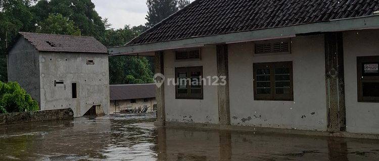 Rumah Gudang Tanah Luas, Seberang Akses Tol Purwodadi 1