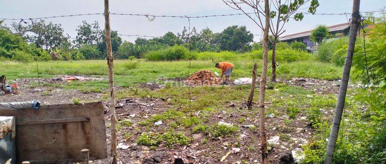 Tanah Nol Jalan Raya Sedati Agung Sidoarjo 1