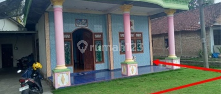 Dijual Rumah Lelang Murah Kepung Kediri 1