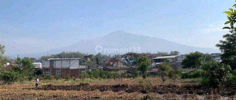 Dijual Tanah Lokasi Pandanrejo Batu Dekat Baloga  1