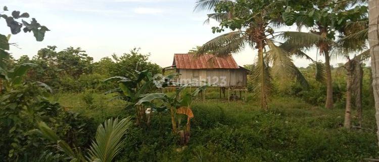 Dijual Murah Tanah Luas Di Morosi Kabupaten Konawe Sulteng 1