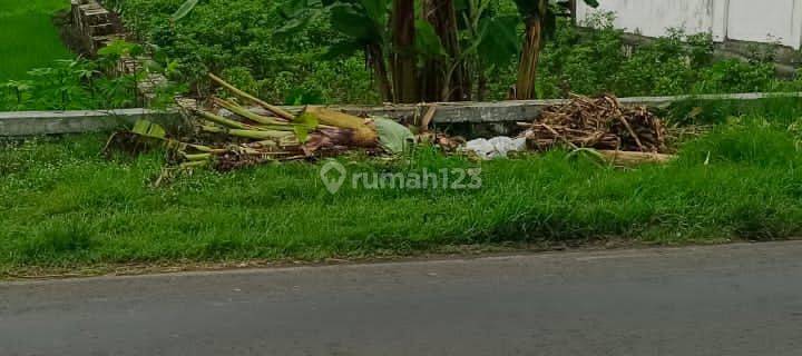 Dijual Tanah Luas Di Raya Balongpanggang Gresik 1