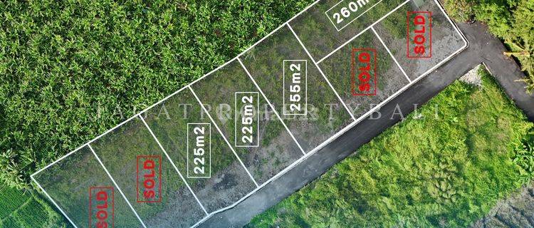 Land Plot for Sale in Tumbak Banyuh 1