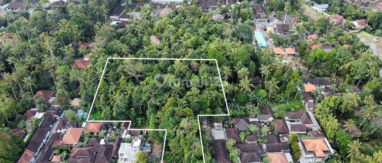 Dijual Tanah lokasi Di Ubud Gianyar 1