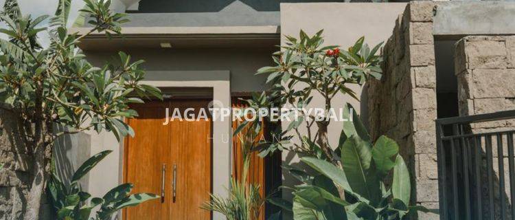 Dijual Villa Brand New View Sawah Berlokasi Di Ubud Gianyar - Bali  1