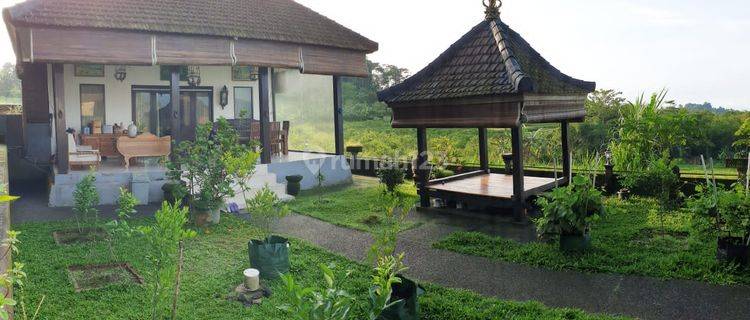 Dijual Rumah Semi Villa Istimewa - Dengan View Gunung Sawah Dan Sunset  1