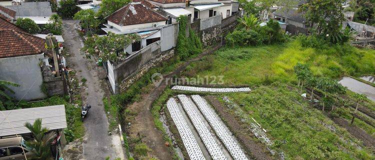 Dijual Tanah Dengan Luas 650m² Los Sungai - Tabanan,Bali 1