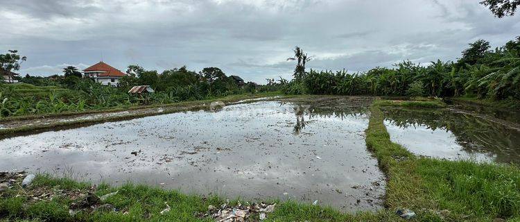 Dijual Tanah Berlokasi Kwanji Sempidi Dejat Puspem Badung  1