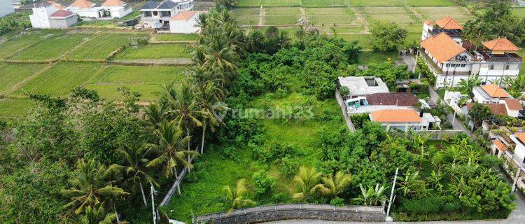 Dijual Tanah Loaksi Ubud 1
