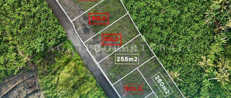 Dijual Tanah Kavling Berlokasi Di Tumbak Bayuh Canggu - Good Lokasi 1