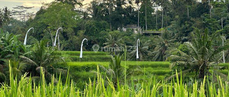 Dijual Tanah Kavling Semana Ubud 1